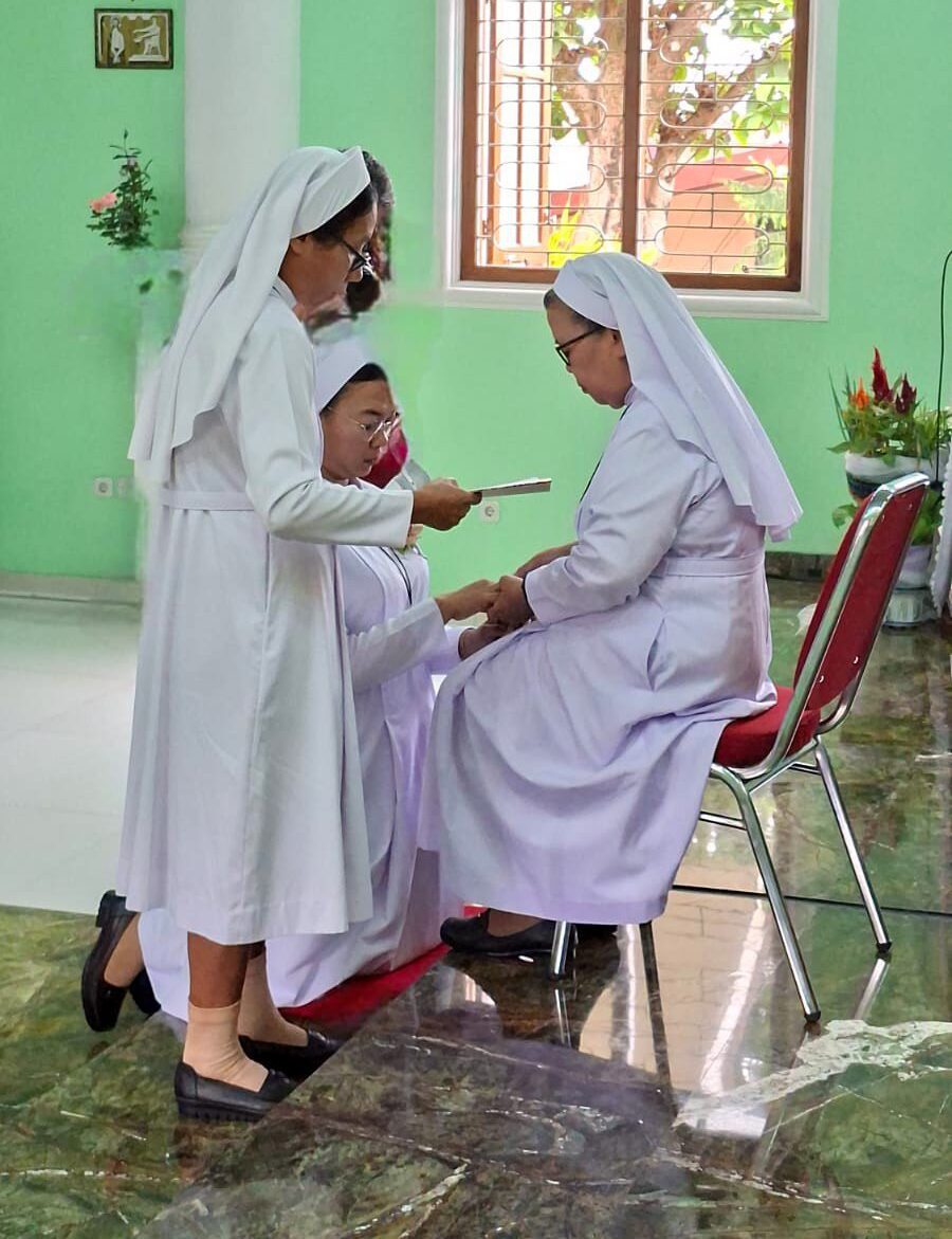 Kaul suster SFS